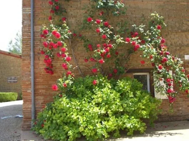 Bed and Breakfast Le Platane Lafrançaise 3*,  Frankreich